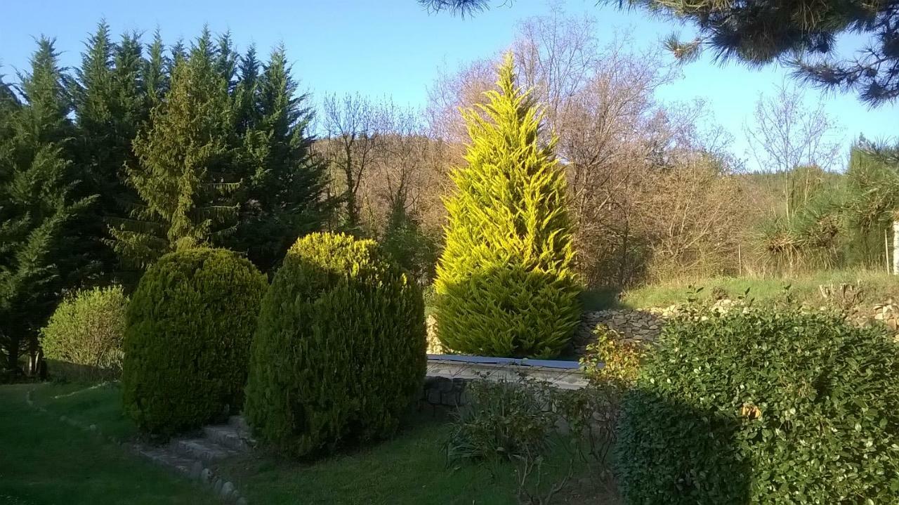 Canigou Lodge Vernet-les-Bains Eksteriør bilde