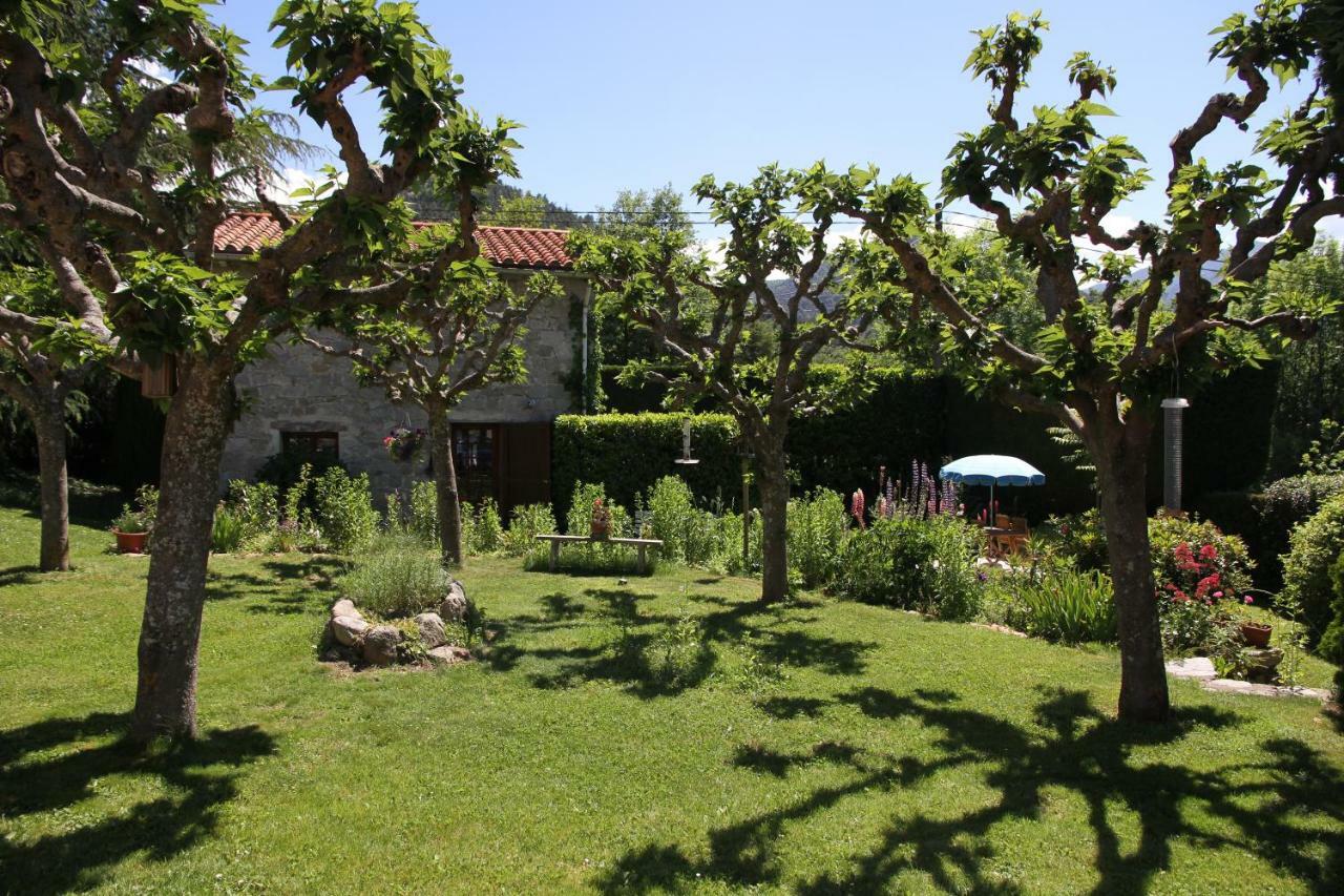 Canigou Lodge Vernet-les-Bains Eksteriør bilde