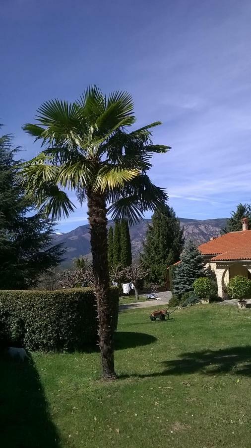 Canigou Lodge Vernet-les-Bains Eksteriør bilde