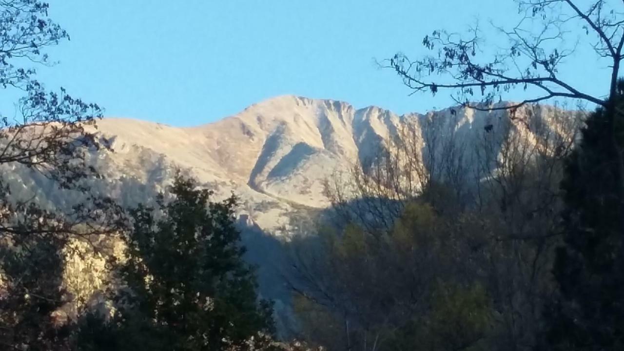 Canigou Lodge Vernet-les-Bains Eksteriør bilde